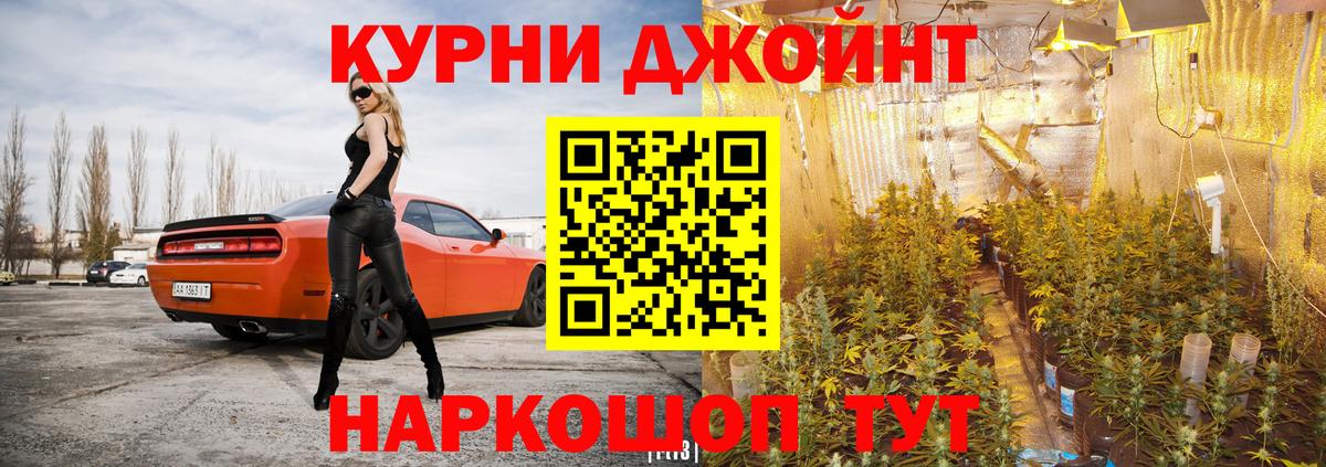 Каннабис индика Юрга